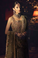 Picture of Aisha sultan