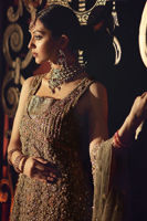 Picture of Aisha sultan