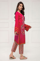 Picture of Midnight saga