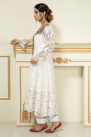 Picture of White Dove