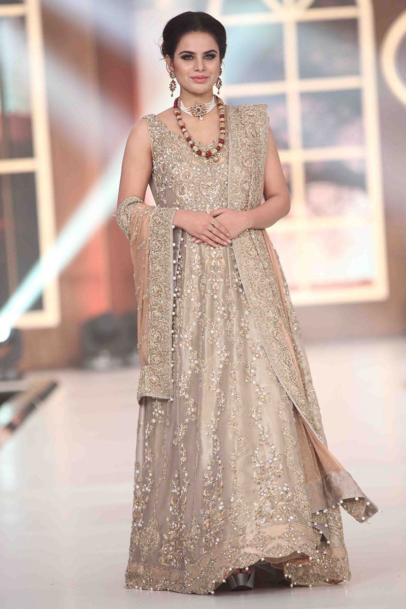 Picture of Illustrious fawn -2