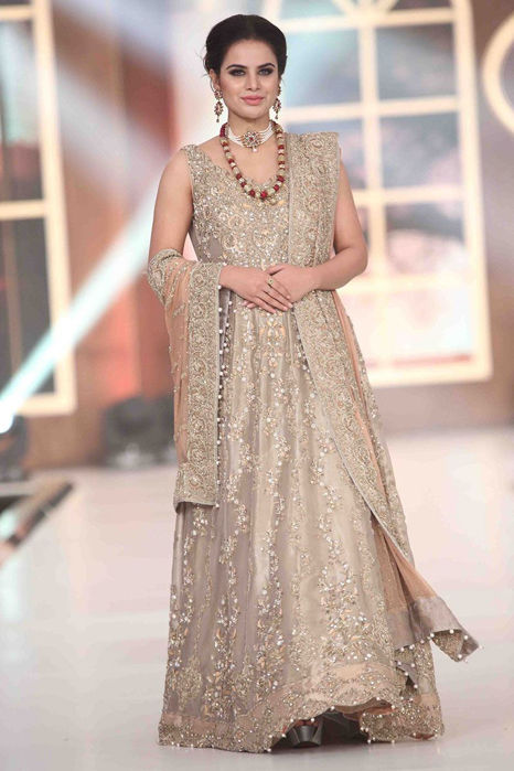 Picture of Illustrious fawn -2