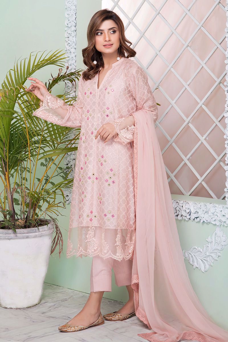 Picture of Carnation