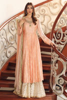 Picture of Peach Carnation