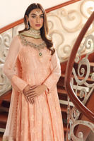 Picture of Peach Carnation