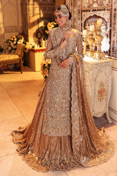 pakistani marriage dress