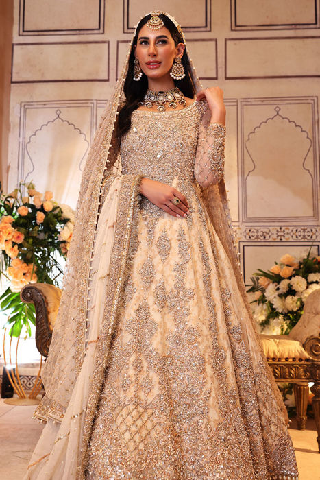 Best Indian Pakistani Wedding Gown with Train Walima Bridal Gown UK USA  Canada Reception Bridal Gown