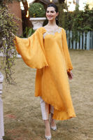 Picture of Sunflower