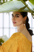 Picture of Sunflower