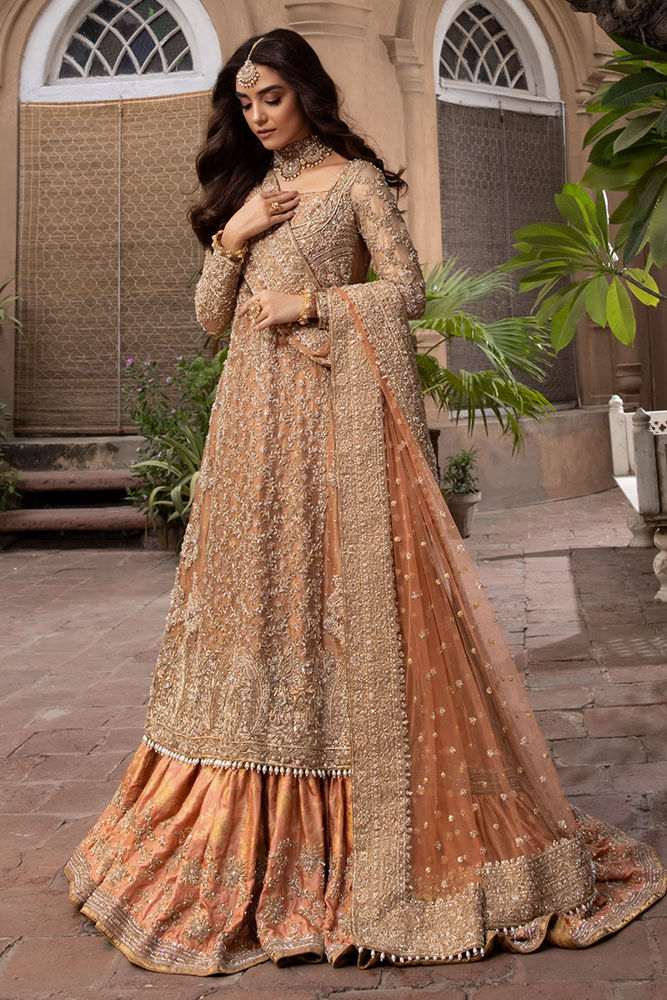 Buy HSY Bridal Dresses 2024, Collection Of Best Pakistani Wedding Dresses  Photos And Prices