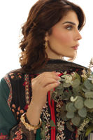 Picture of Jiva Shirt and Dupatta