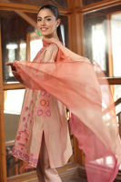 Picture of Blushe Shirt and Shalwar