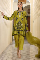 Picture of Verde Shirt and Shalwar
