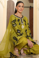 Picture of Verde Shirt and Shalwar