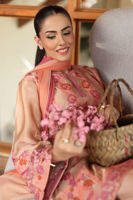 Picture of Blushe Shirt and Shalwar