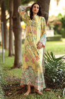 Picture of Sorelle