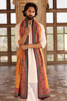 Picture of Shahmeer